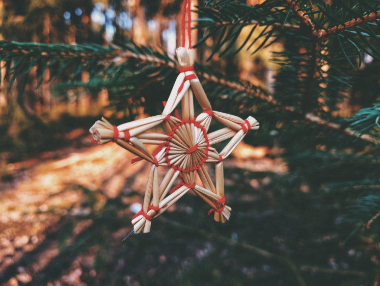 Genesis Ranch: A Natural Beauty for Your Christmas Photo Shoot Venue